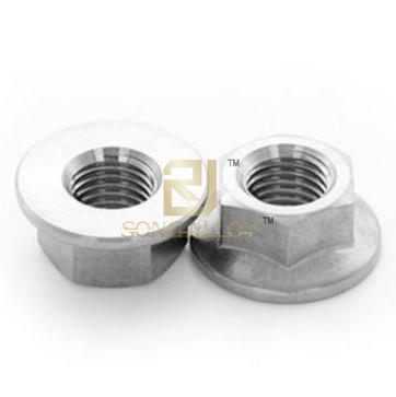Titanium GB/T6177,1 Hexagon Flange Nuts-style2